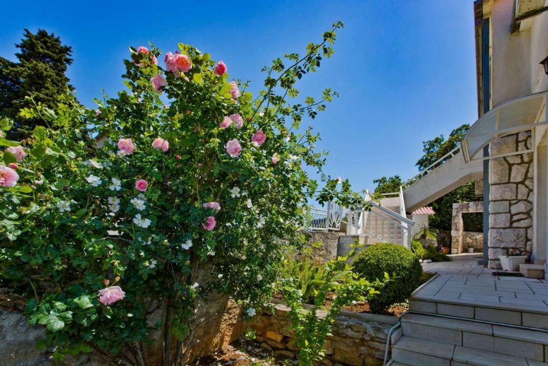 Apartments Jacky Hvar Town Dış mekan fotoğraf